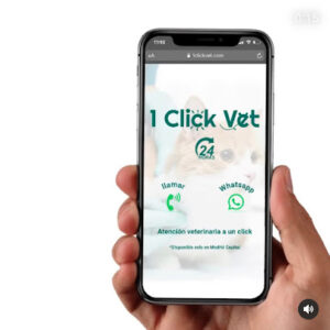 1 Click Vet - Veterinario A Domicilio En Valencia