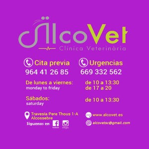 Alcovet Clínica Veterinària Alcossebre