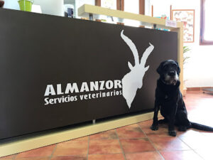 Almanzor Servicios Veterinarios