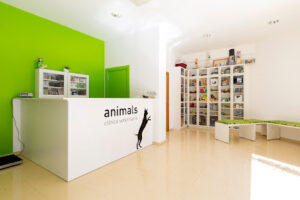 Animals Clínica Veterinària