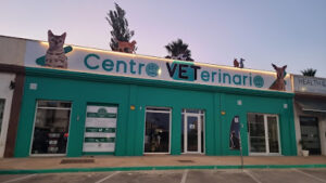 Asociación Gatos Y Amigos (Agya Centro Veterinario)