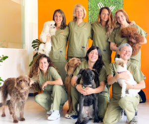 Bitxos Veterinaris