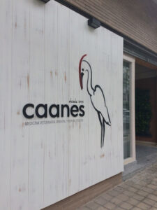 Caanes Medicina Veterinaria Oriental