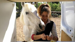 Cavallsà Veterinario De Caballos