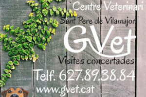 Centre Veterinari Gvet
