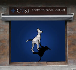 Centre Veterinari Sant Just