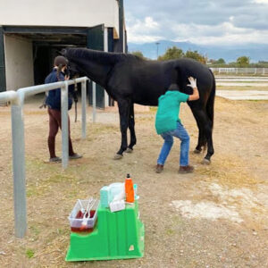 Centro Veterinaria Albeitar