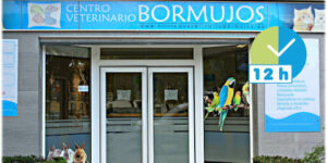 Centro Veterinario Bormujos I