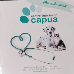 Centro Veterinario Capua