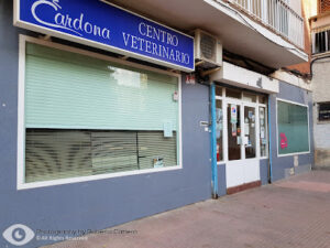 Centro Veterinario Cardona