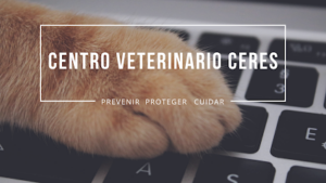 Centro Veterinario Ceres