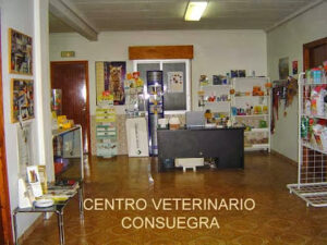 Centro Veterinario Consuegra