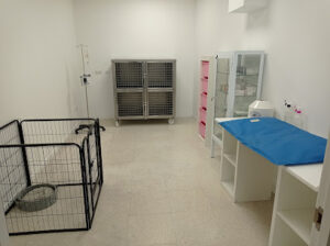 Centro Veterinario Huellitas