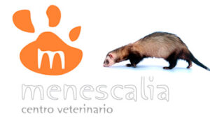 Centro Veterinario Menescalia