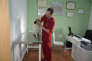 Centro Veterinario Mojados