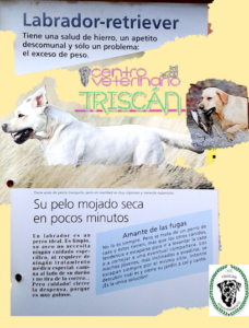 Centro Veterinario Triscan