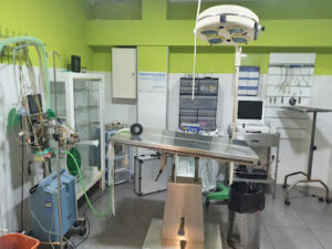 Centro Veterinario Veravet