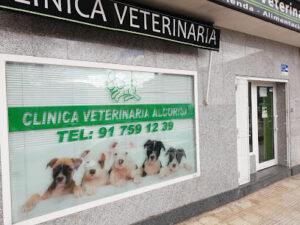 Clínica Veterinaria Alcorisa