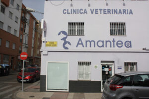 Clínica Veterinaria Amantea