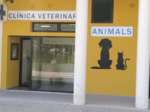 Clínica Veterinaria Animals Xaló