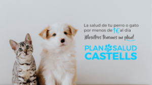 Clínica Veterinaria Castells