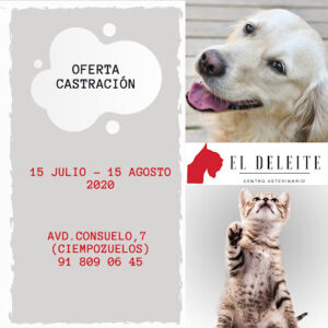 Clínica Veterinaria Deleite Ii Ciempozuelos