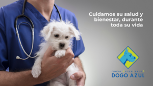 Clínica Veterinaria Dogo Azul Marbella