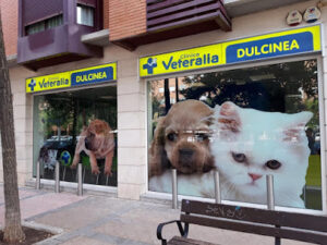 Clínica Veterinaria Dulcinea Alcorcón (Veteralia)