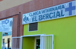 Clínica Veterinaria El Bercial