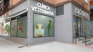 Clínica Veterinaria Exóticos