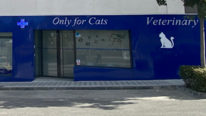 Clínica Veterinaria Felina Malagat