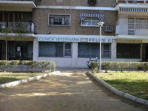 Clínica Veterinaria Felipe Ii