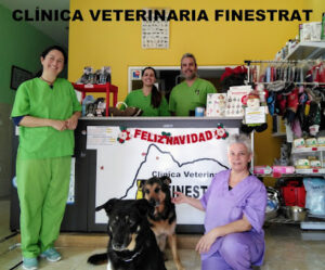 Clínica Veterinaria Finestrat