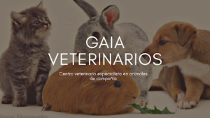 Clínica Veterinaria Gaia