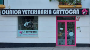 Clínica Veterinaria Gattocan