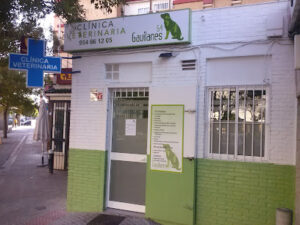 Clínica Veterinaria Gavilanes 54 En Sevilla