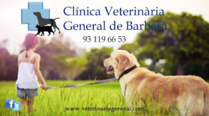 Clínica Veterinaria General De Barberà