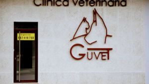 Clínica Veterinaria Guvet