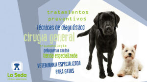 Clínica Veterinaria La Seda