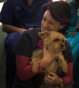 Clínica Veterinaria La Vega Salamanca