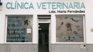 Clínica Veterinaria Lda. Maria Fernandez