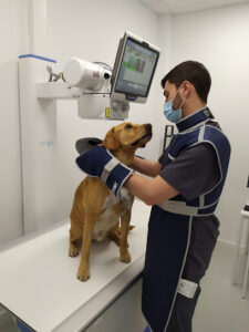 Clínica Veterinaria Meu Vet