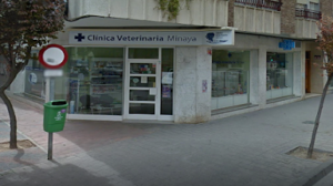 Clínica Veterinaria Minaya