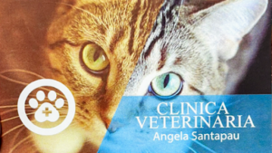 Clínica Veterinaria Oliva. ángela Santapau