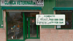 Clínica Veterinaria Panda Veterinario Urgencias