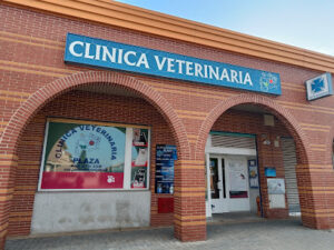 Clínica Veterinaria Plaza