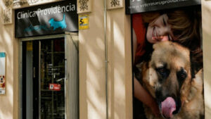 Clínica Veterinària Providència