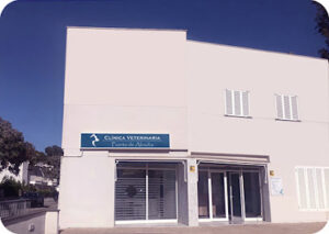 Clínica Veterinaria Puerto De Alcudia