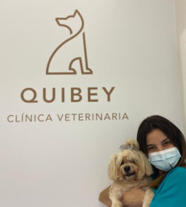 Clínica Veterinaria Quibey