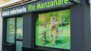 Clínica Veterinaria Río Manzanares